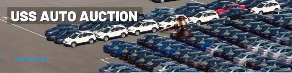 Buying JDM Cars from Japan Auctions / The Thriving World of Japanese Car Auctions